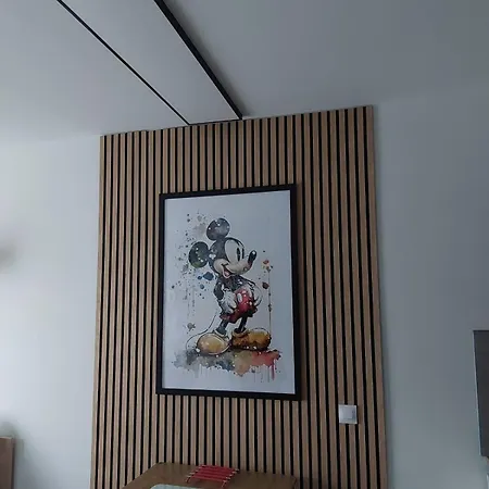 Petit A Disneyland ! 公寓 塞里斯